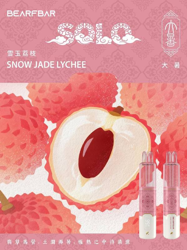 正品冰熊4代Solo1.5W